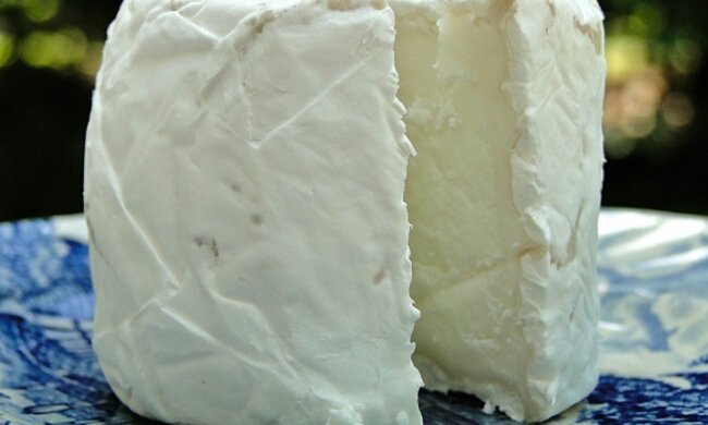 Pilne ostrzeżenie GIS. W popularnym serze wykryto bakterie. Produkt może poważnie zaszkodzić zdrowiu, dlatego należy wyrzucić go z lodówki