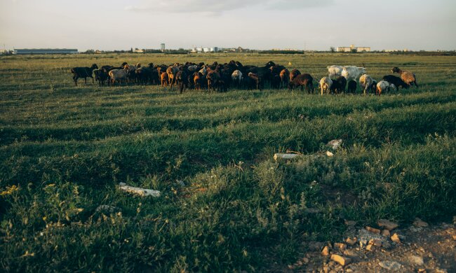 Rolnicy zapłacą nawet 65 tys. zł. Nowe prawo zacznie obowiązywać już w marcu
