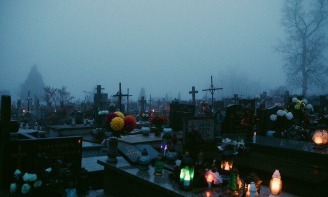 Te kwiaty na Wszystkich Świętych podbijają cmentarze. Wytrzymają mróz i zachwycą kolorem