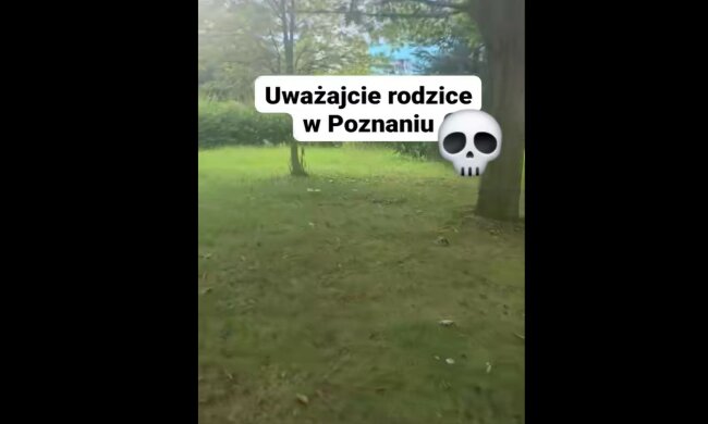 „Uważajcie, rodzice z małymi dziećmi”. Alarmujące nagranie z polskiego osiedla