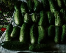 ogórki @pexels