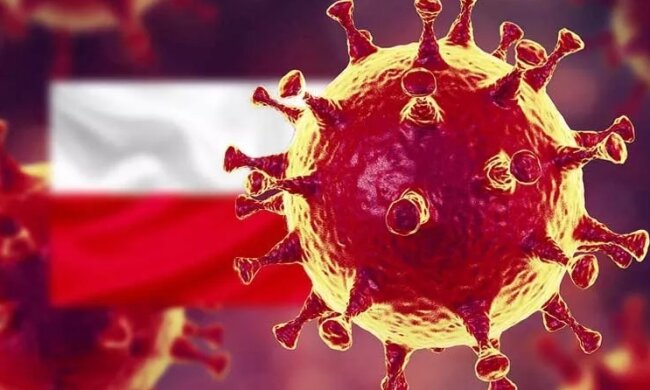 Koronawirus. Źródło: testerzy.pl