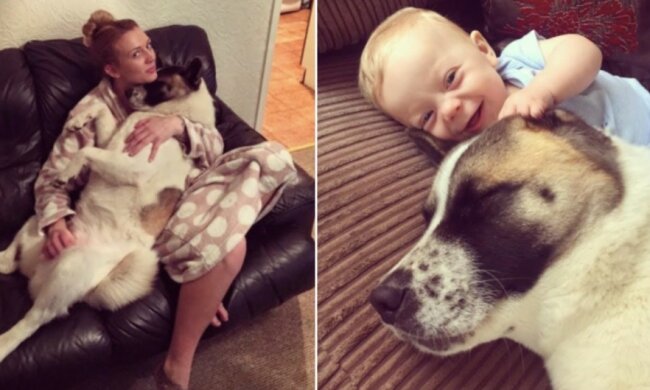 Pies i jej właścicielka/screen Youtube @My Pets