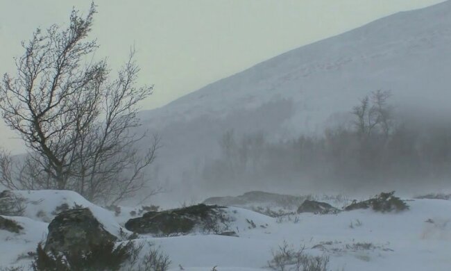 Pogoda/screen Youtube