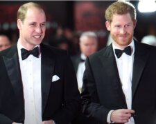 Książę William i książę Harry/YouTube @Dla Ciekawskich