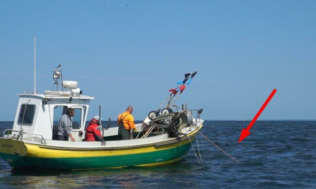 Niepokojące doniesienia na temat ryb żyjących w Bałtyku. Specjaliści przestrzegają, których ryb nie jeść