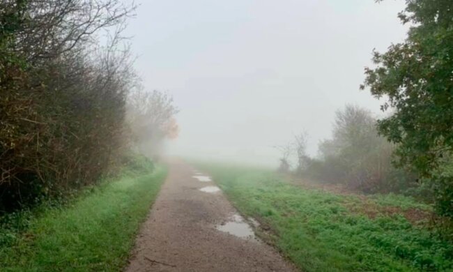 To już koniec złotej polskiej jesieni? / YouTube