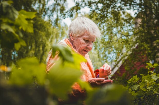 Babcia, źródło: Pexels