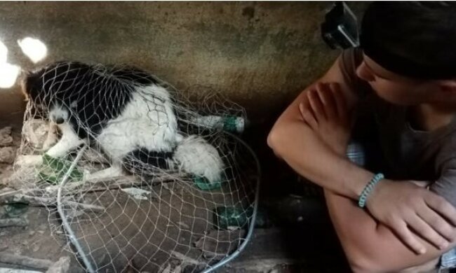 Bezdomny przez 3 tygodnie karmił psa, który wpadł do 4-metrowej dziury. Ta historia stała się hitem internetu