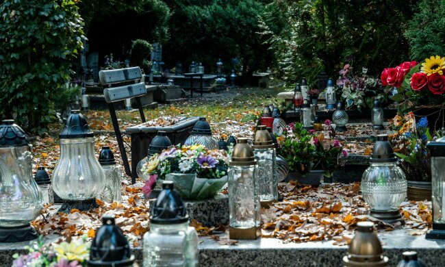 Nie tylko chryzantemy na Wszystkich Świętych 2026. Te kwiaty mają królować na grobach