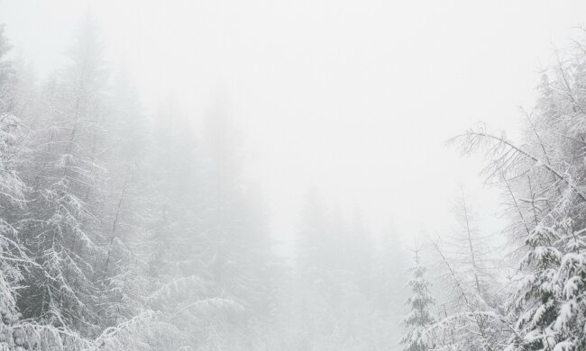 Była godz. 10:37. W Polsce spadł pierwszy śnieg. Aż 20 cm