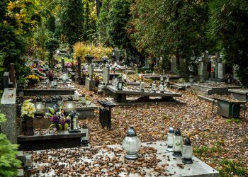 Te kwiaty będą hitem na Wszystkich Świętych 2026. Długo zachowają piękny wygląd