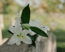 Tajemnicze kartki na grobach. Co oznaczają i dlaczego nie wolno ich lekceważyć