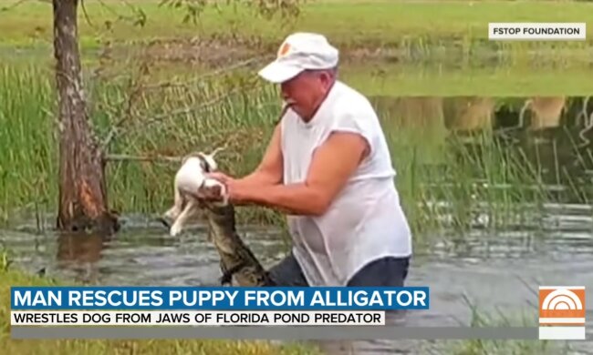 Mężczyzna uratował psa. Źródło: Youtube TODAY