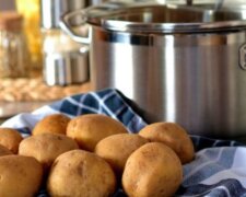 Myślisz, że potrafisz ugotować ziemniaki? Odpowiedź może cię zdziwić!