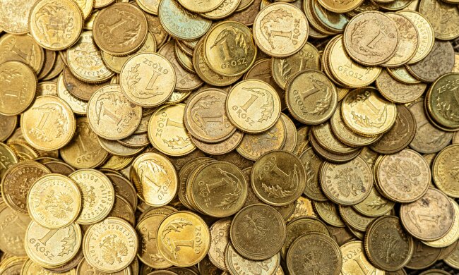 ZUS ma ważny apel do Polaków. Emerytury mogą zależeć od jednego szczegółu