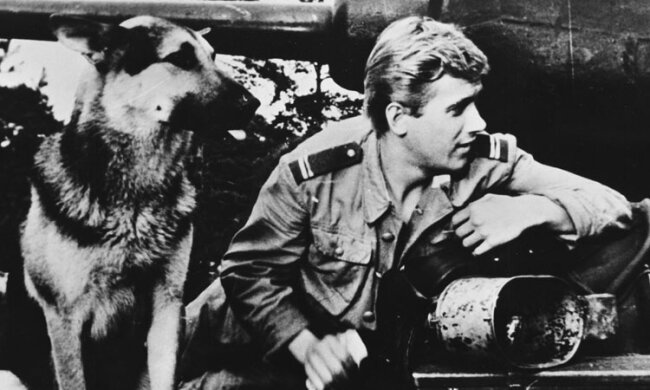 Czterej pancerni i pies