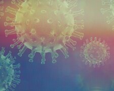 Małopolska: sanepid aktualizuje dane dotyczące zakażeń koronawierusem. Kolejne kilkadziesiąt przypadków