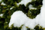 Pierwsze opady śniegu mogą nadejść szybciej, niż myślisz. Są nowe prognozy na zimę