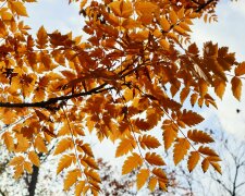 Zacznie się 30 października. Pogoda całkowicie się zmieni