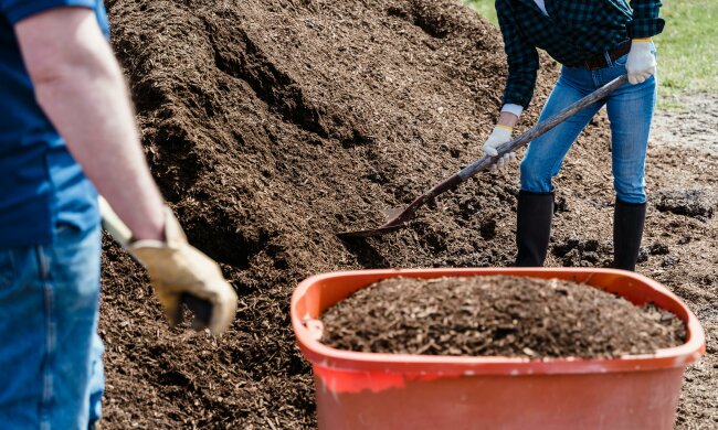 Obornik, źródło: Pexels