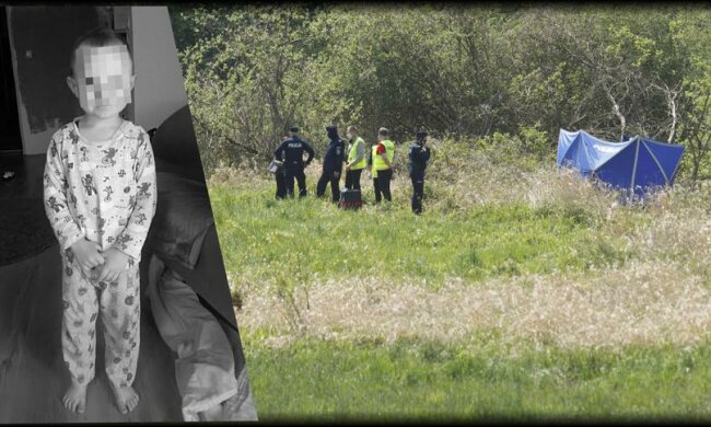 Kacperek z Nowogrodźca