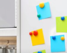 Magnesy na lodówkę/YouTube @Polski obserwator