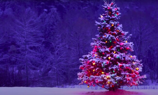 Niespodziewany gość zamieszkał na choince! / YouTube:  Reading Through History