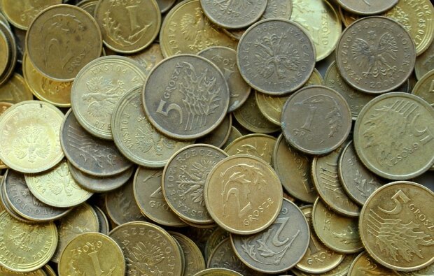 Warto przyjrzeć się monetom!/screen Pixabay