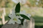 Tajemnicze kartki na grobach. Co oznaczają i dlaczego nie wolno ich lekceważyć