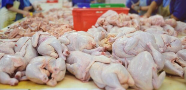 Niepokojące wieści płyną z jednego z polskich zakładów mięsnych. Sprawą zajął się sanepid