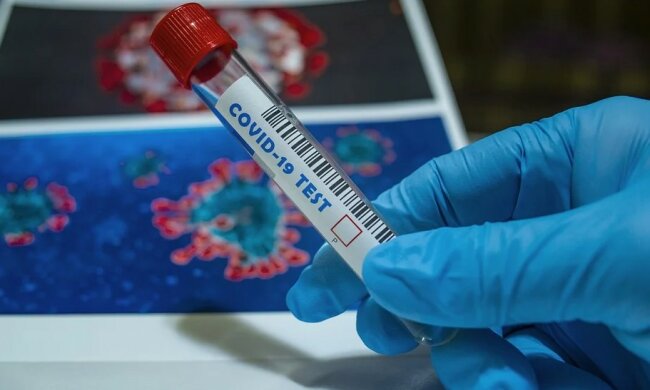 Nowe informacje o epidemii/screen Pixabay