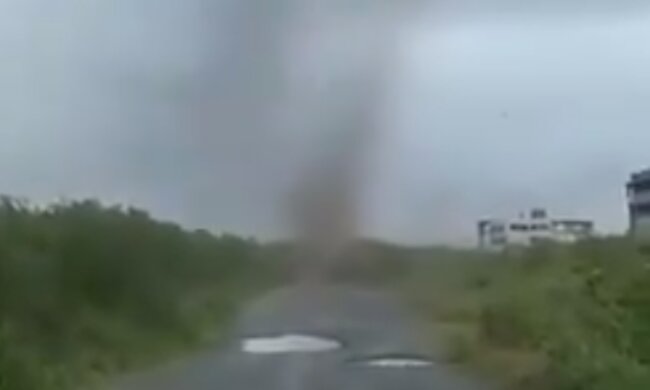 Tornado komarów/ Twitter @ Moh Musthafa Hussain