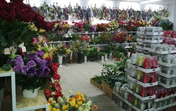 Porównujemy ceny zniczy i kwiatów. Jest znacznie drożej niż rok temu!
