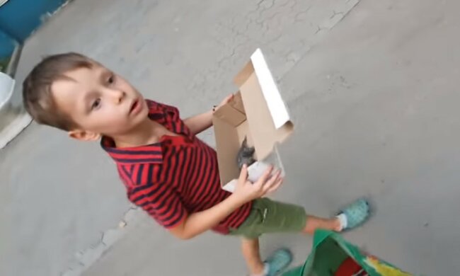 urodził się kot, screen Youtube