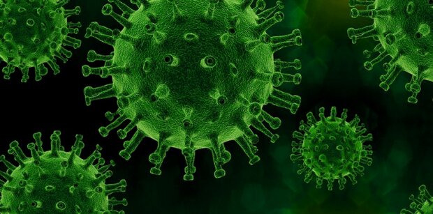 Małopolska: zaktualizowano dane dotyczące epidemii koronawirusa. Przybywa zakażonych