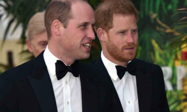 William, Harry/ https://www.radiozet.pl/