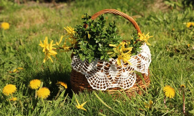 Jakie prognozy na wiosnę?/Pixabay