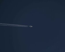 Samolot spadł na teren leśny. Wiadomo, co stało się z pilotem