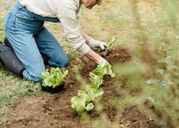 Z życia wzięte. "Moja mama każdej jesieni mówi, że ma dość działki": Wiosną wraca tam jak gdyby nigdy nic, a ja mam już tego serdecznie dosyć