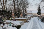 Te kwiaty są wytrzymalsze niż chryzantemy. Postaw je na grobie 1 listopada, a mogą zostać tam do grudnia