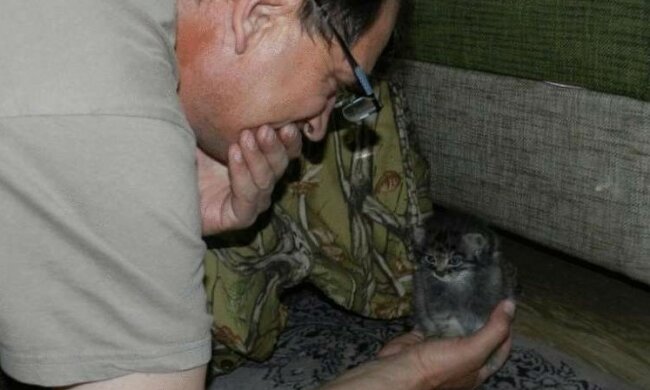 Kot Pallasa, screen Google