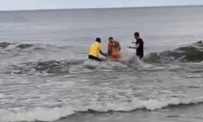 Sztutowo, akcja ratunkowa fot. se.pl