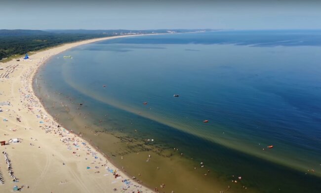 źródło: YouTube/DK Video