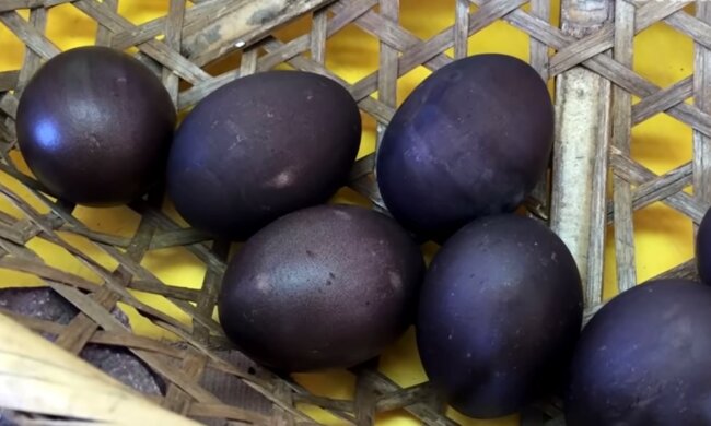 Ayam Cemani, screen YT