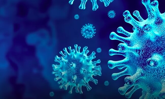 Koronawirus nie daje za wygraną! / YouTube: Wirtualna Polska