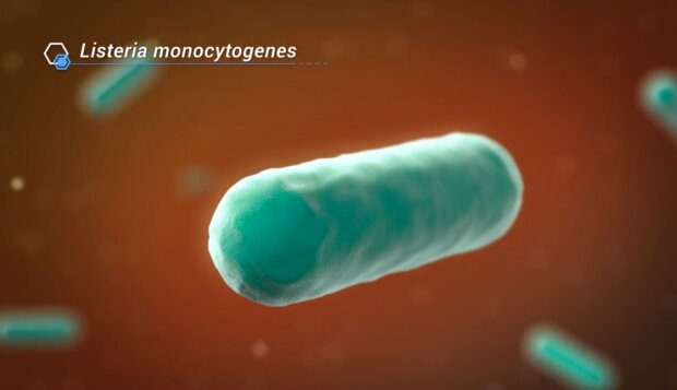 Bkteria Listeria monocytogenes/ YouTube @Demcon Nymus 3D