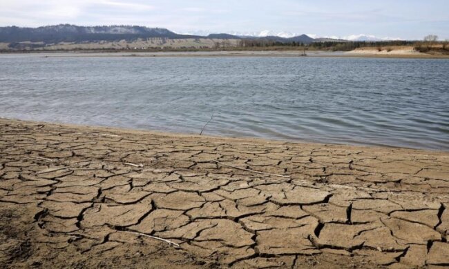Susza. Źródło: fakt.pl