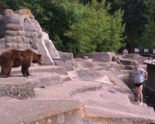 Niedźwiedzie z warszawskiego zoo zostaną przeniesione, źródło: Joe Monster