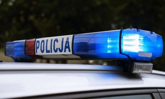 72-latka z Siemianowic Śląskich ofiarą oszustwa na "policjanta"/screen Pixabay